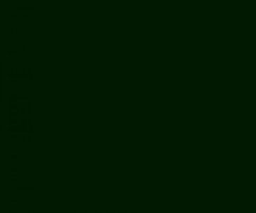 Wallpaper-Dark-Green.jpg