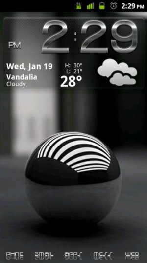 snap20110119_142923.jpg