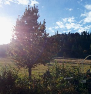 20121020_090419.jpg