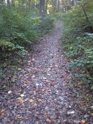2012-10-16_17-13-27_426.jpg