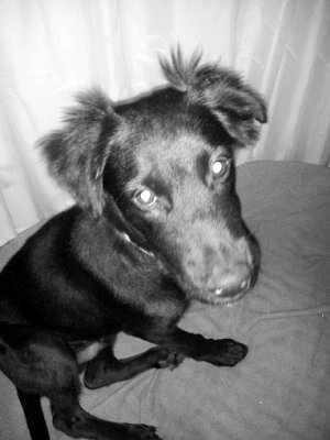 20120715_222537.jpg