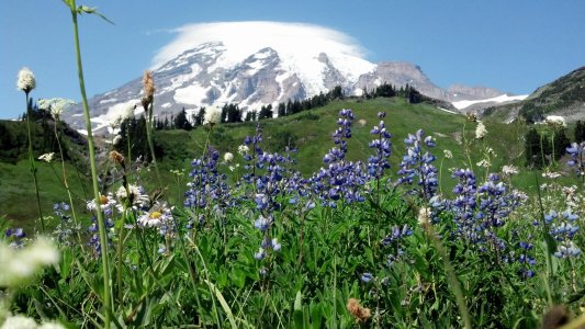 2012-08-19_14-25-32_397.jpg