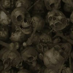 uploadfromtaptalk1351043818703.jpg