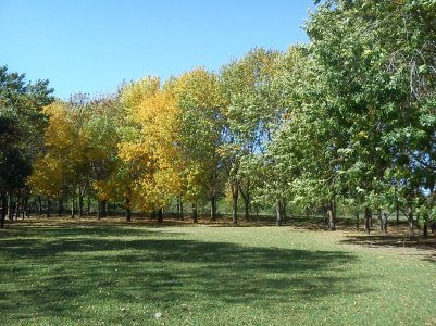 CameraZOOM-20120407145811125.jpg
