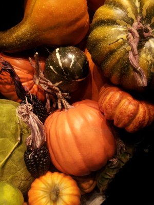 gourds.jpg