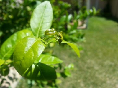 20120701_144527_HDR.jpg