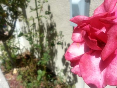 20120701_142649_HDR.jpg