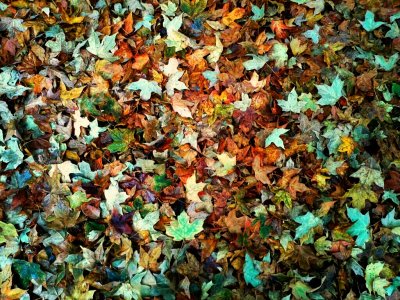 IMG_20121002_101444.jpeg