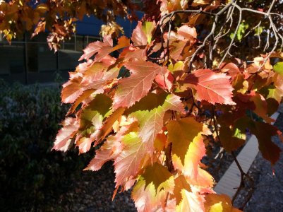 20121003_084120.jpg
