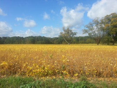 IMG_20121015_111346.jpg