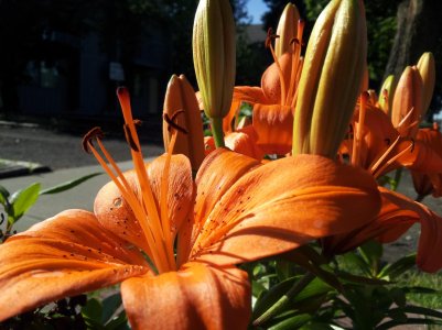 20120705_173010.jpg