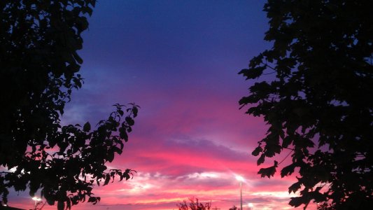IMAG0522.jpg