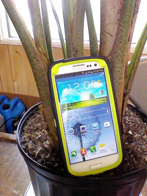 IMG_20121218_120632.jpg