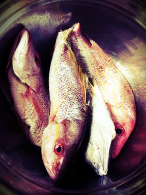 20121215_110330.jpg