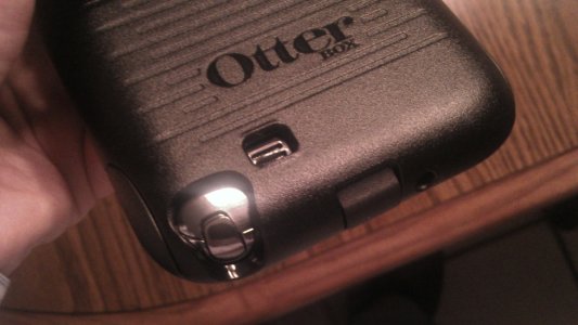 otter6.jpg