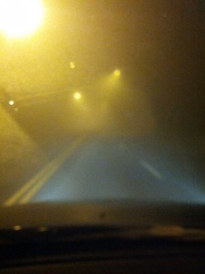 IMG_20121125_062902.jpg