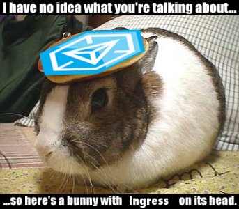 pancake_bunny_ingress.jpg