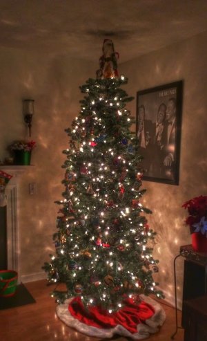 IMG_20141206_180454.jpg