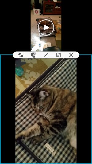 Screenshot_2015-01-09-19-56-52.jpg