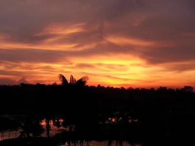 Golden sunset.jpg