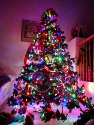 IMG_20141206_190956182_HDR.jpg
