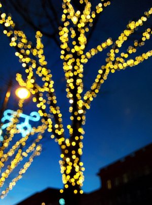 lights.jpg