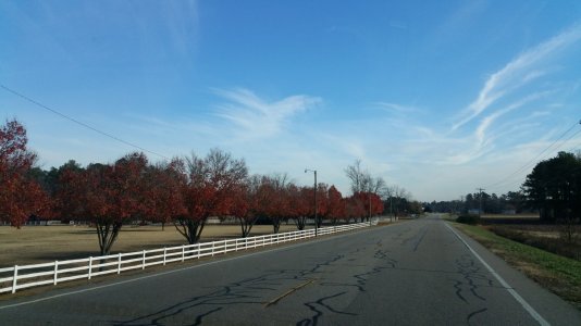 20141129_101638.jpg