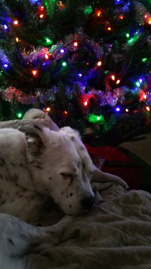 20141222_160026.jpg