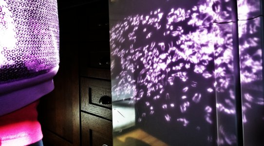 1220141246_2.jpg