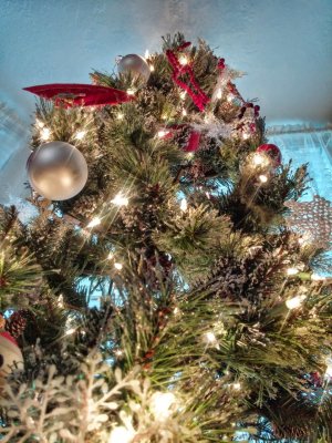 20141221_155005_HDR.jpg