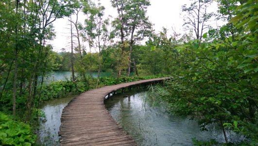 IMAG0207.jpg