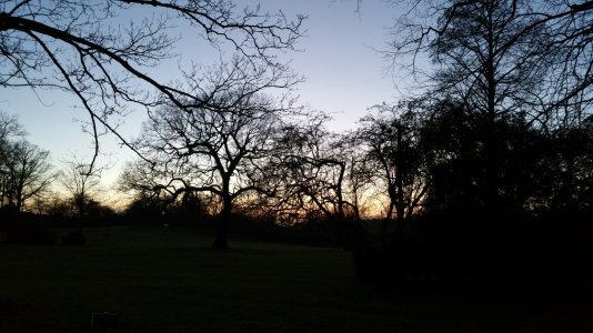 20150130_170550.jpg