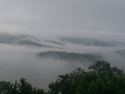 20140809_082239 (3).jpg