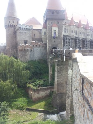2014-08-04 13.54.34.jpg