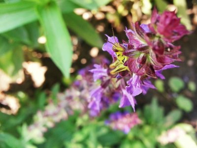 20130804_110627_2.jpg