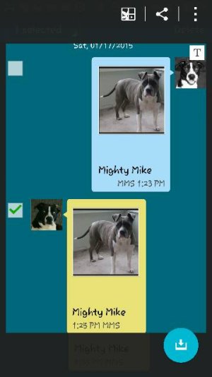 Screenshot_2015-01-17-13-30-13.jpg
