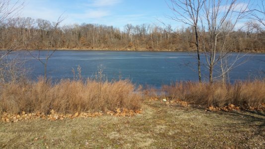 2015-01-17 12.55.31.jpg