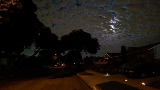 night shot.jpg