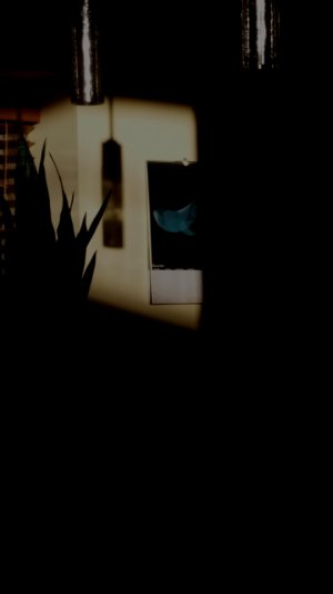 20141227_dark_contest.jpg