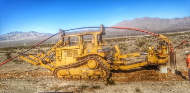 Cat Plow 2.jpg