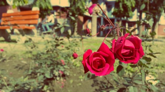 20150207_140556[1].jpg