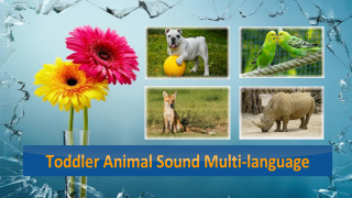 Toddler_Promo_ENG_320x180.png Toddler_Promo_ENG_320x180.png