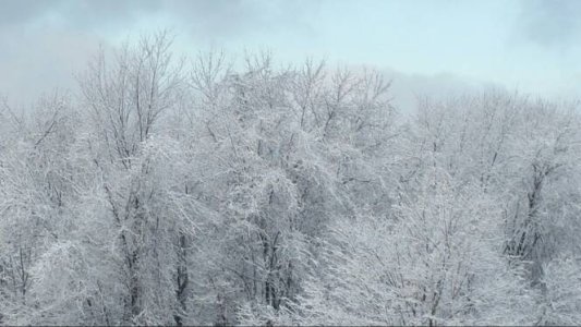 20150124_102728.jpg