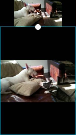 Screenshot_2015-01-27-19-47-46.jpg