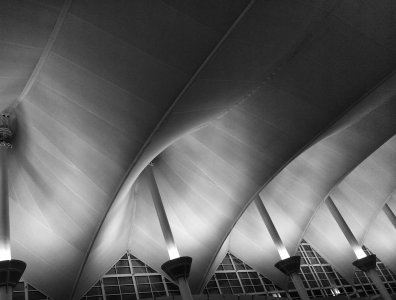 DSC_0737_1.jpg