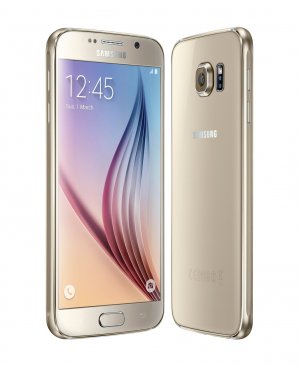 SM-G920F_027_Combination-2_Gold_Platinum.jpg