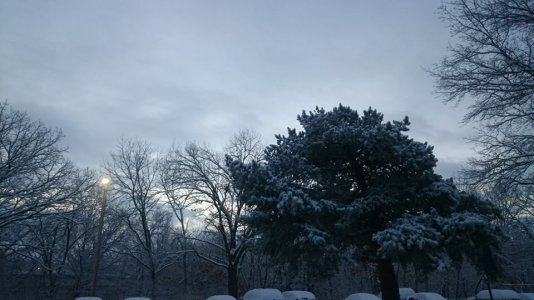 snow.jpg