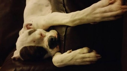 20150302_194543.jpg