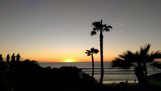 IMAG0224.jpg