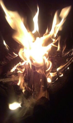 IMAG0218.jpg